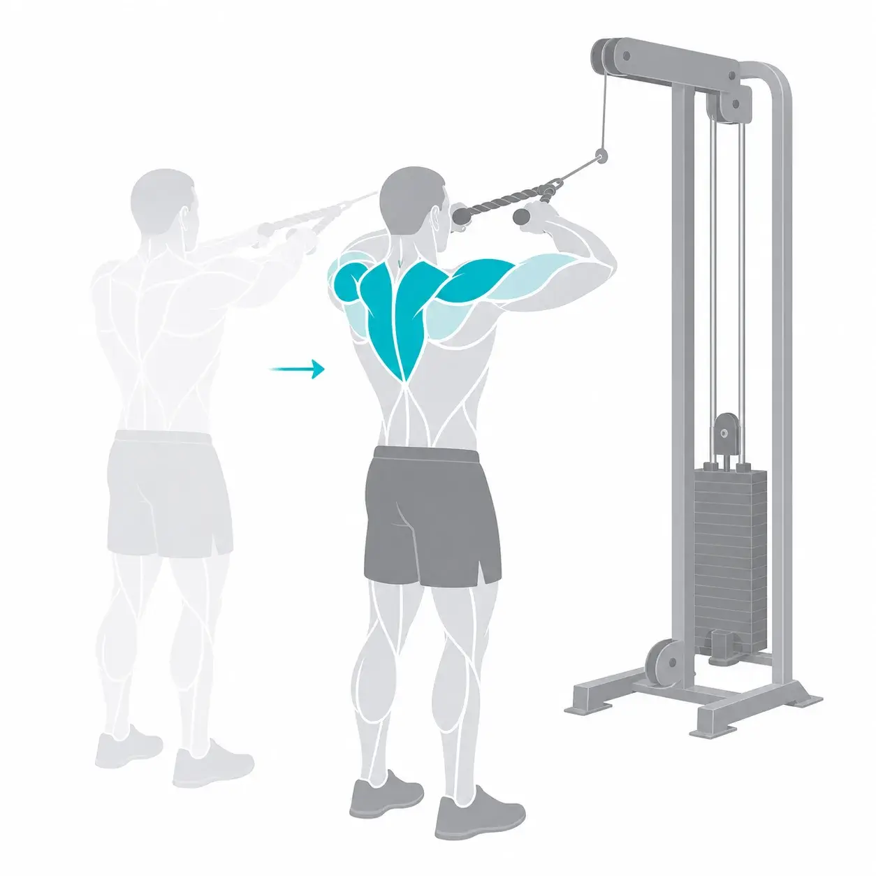 Illustration of a face pull, showing the start and end positions