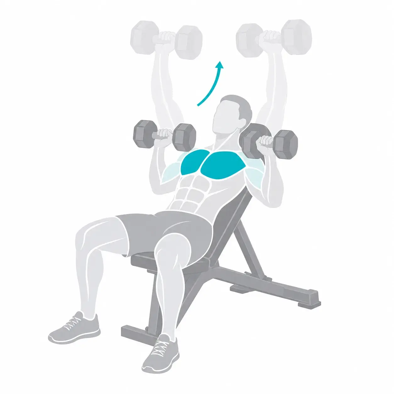 Illustration of an incline dumbbell press, showing the start and end positions