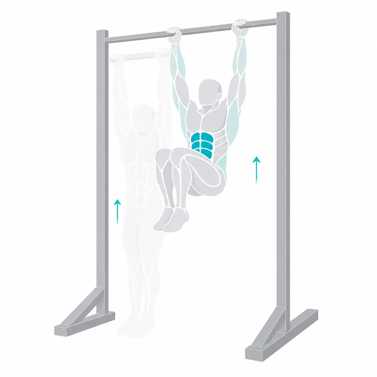 Illustration of a hanging knee raise, showing the start and end positions