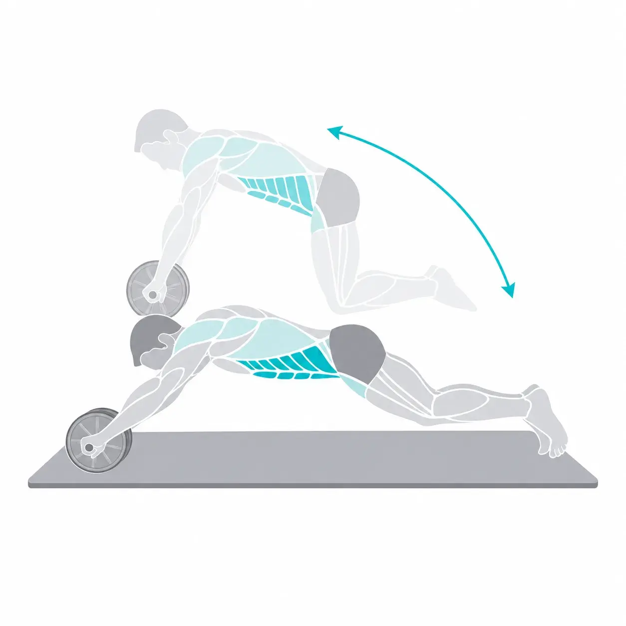 Illustration of an ab wheel rollout, showing the start and end positions