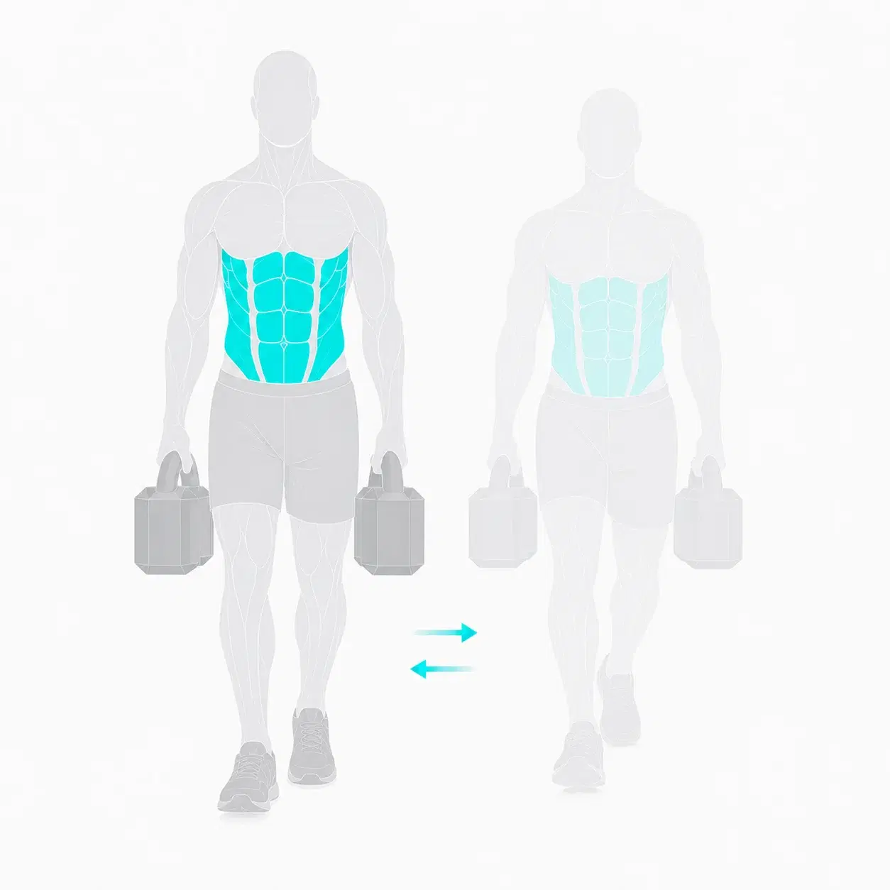 Illustration of a farmer's carry, showing the start and end positions