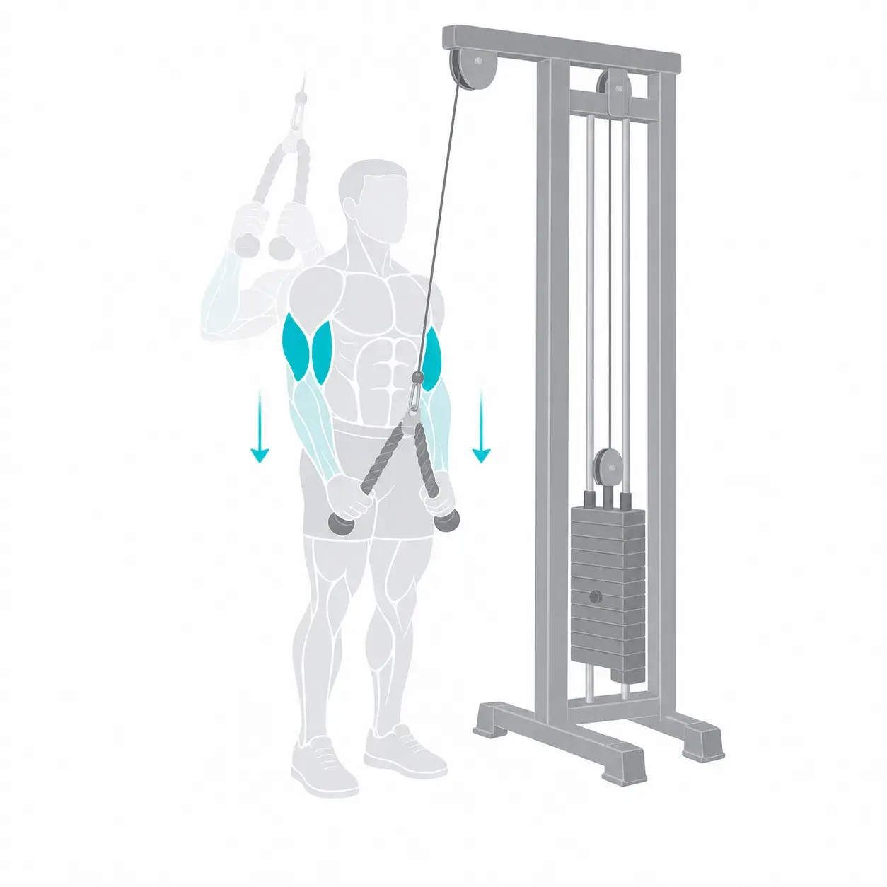 Illustration of a rope pushdown, showing the start and end positions