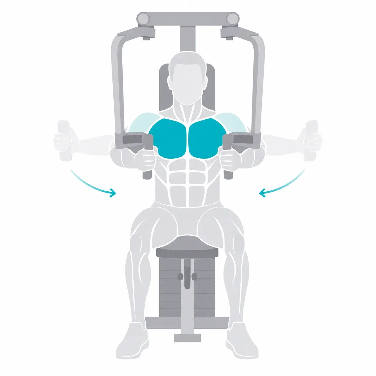 Illustration of a pec deck fly, showing the start and end positions