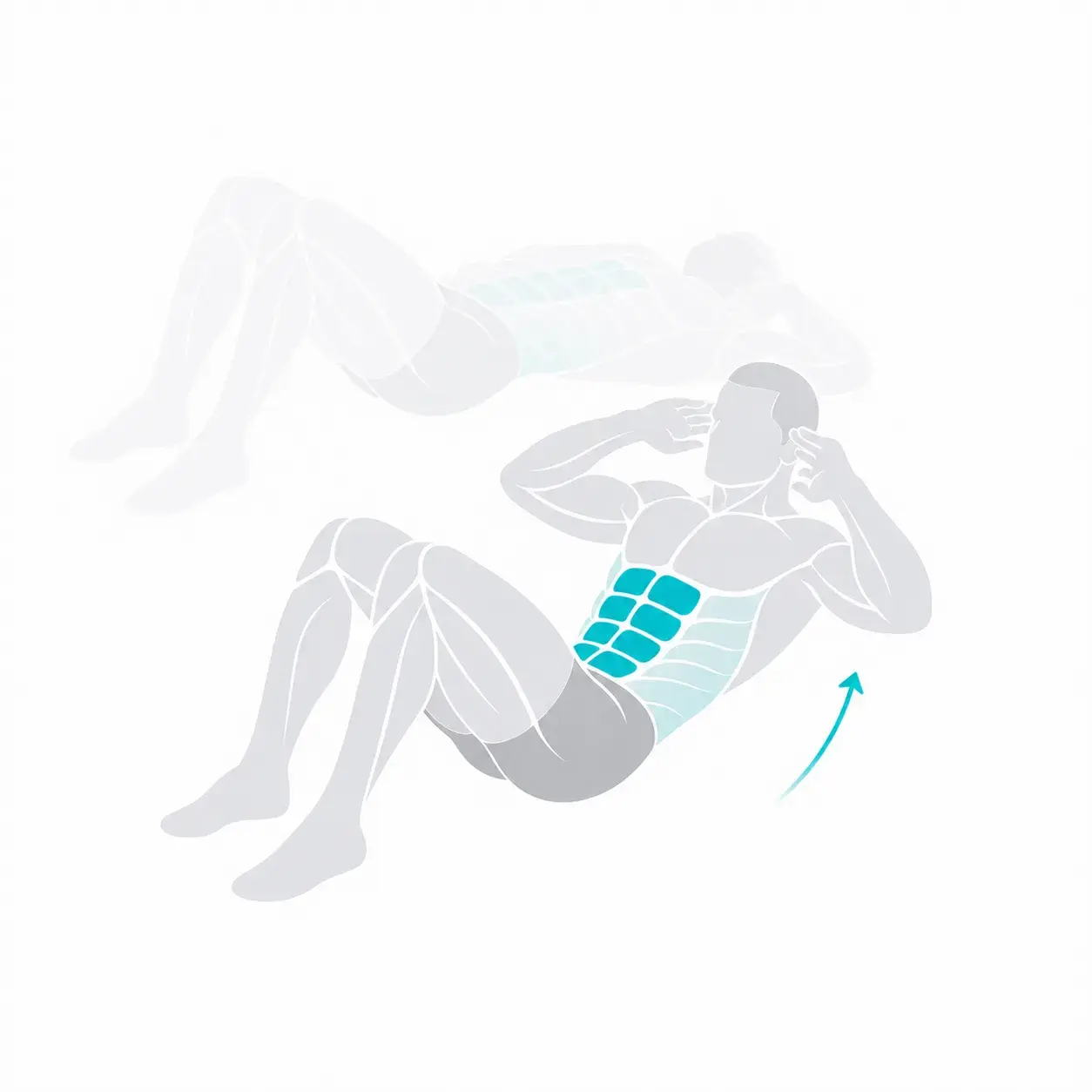 Illustration of a crunch, showing the start and end positions