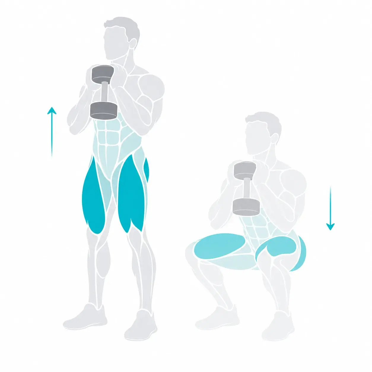 Illustration of a goblet squat, showing the start and end positions