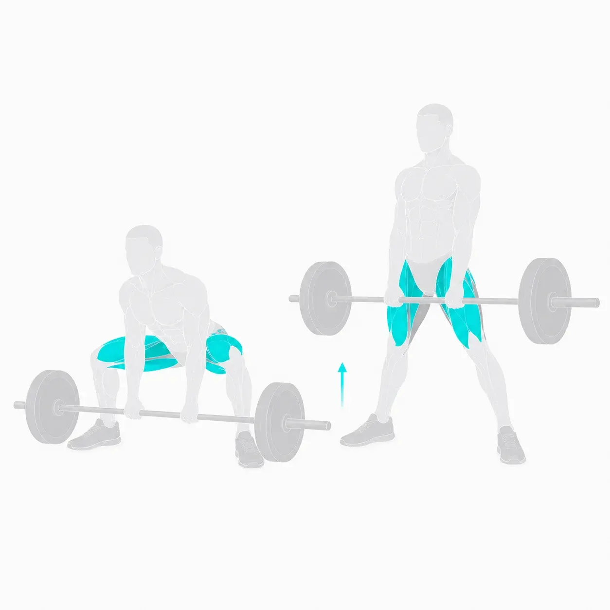 Illustration of a sumo deadlift, showing the start and end positions