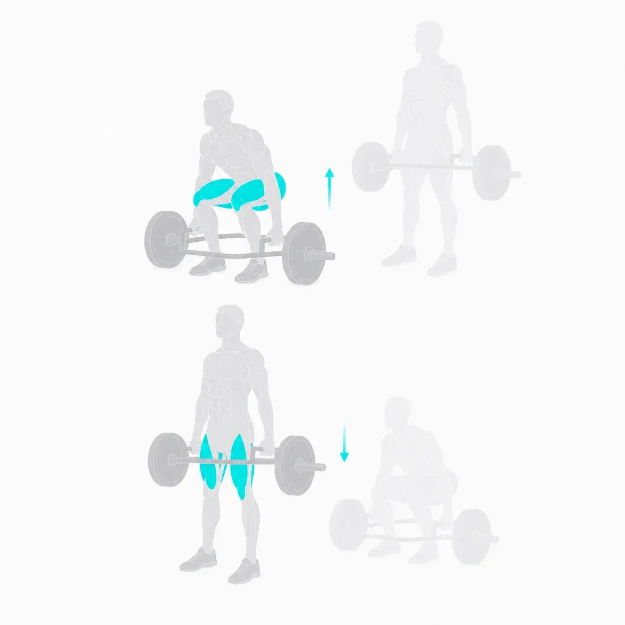 Illustration of a trap bar deadlift, showing the start and end positions