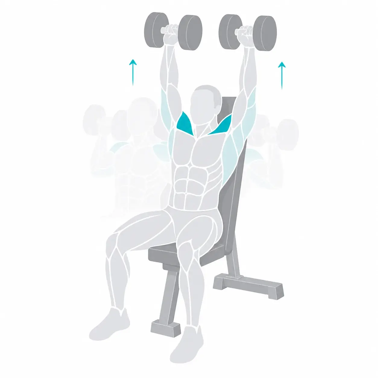 Illustration of a dumbbell shoulder press, showing the start and end positions