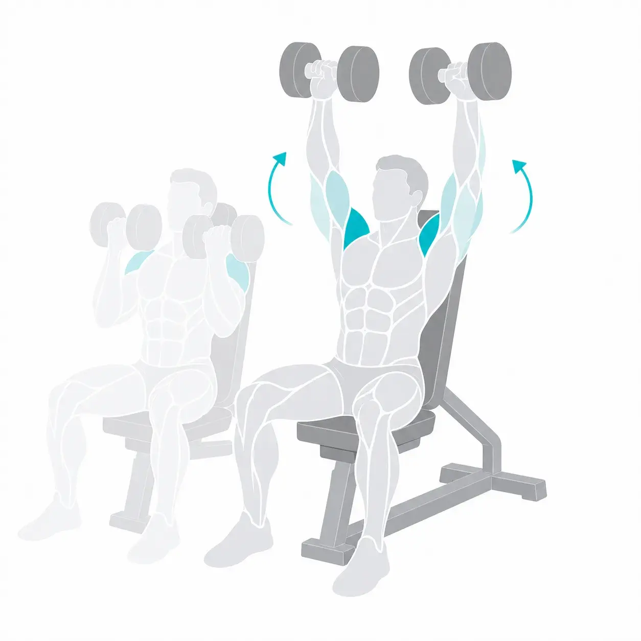 Illustration of an Arnold press, showing the start and end positions