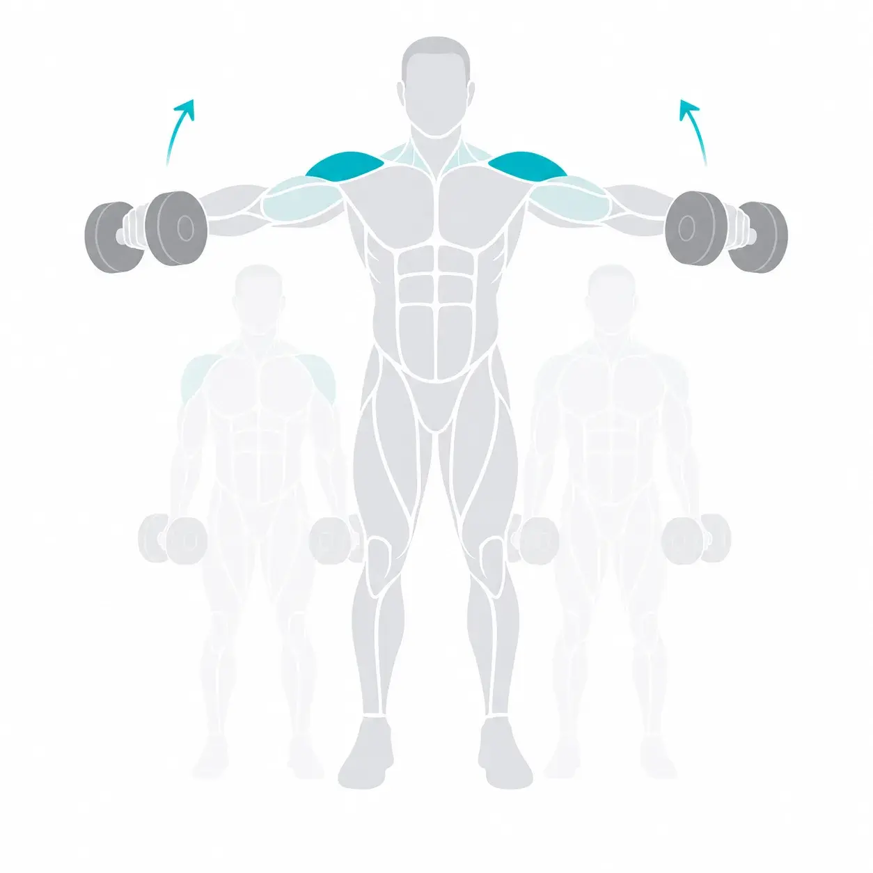 Illustration of a lateral raise, showing the start and end positions